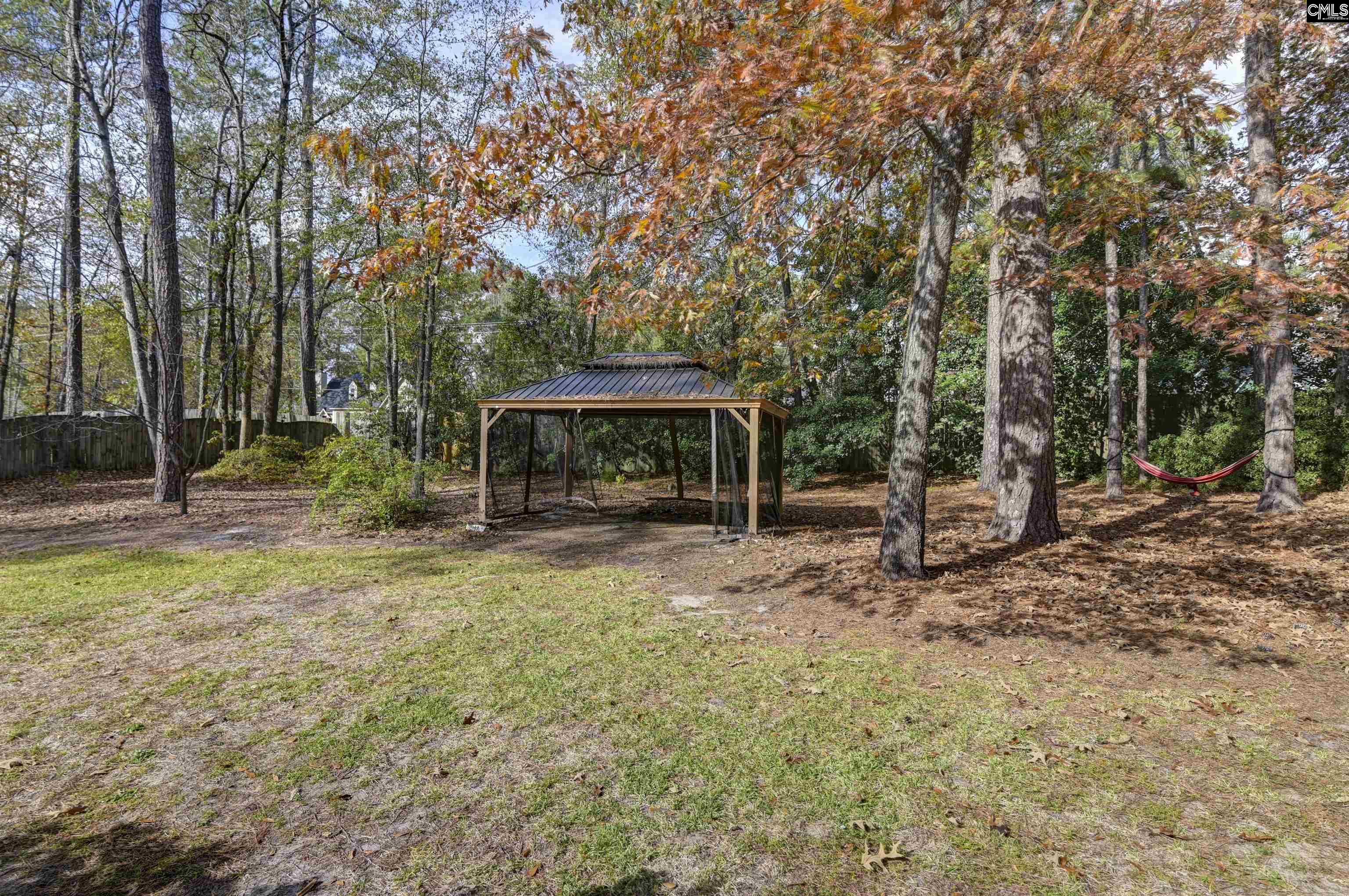257 Brookspring Road Columbia, SC 29223 - Photo 61 of 63