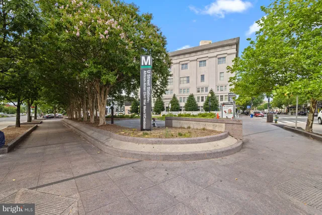 a city street lined with tall buildings and flower plants