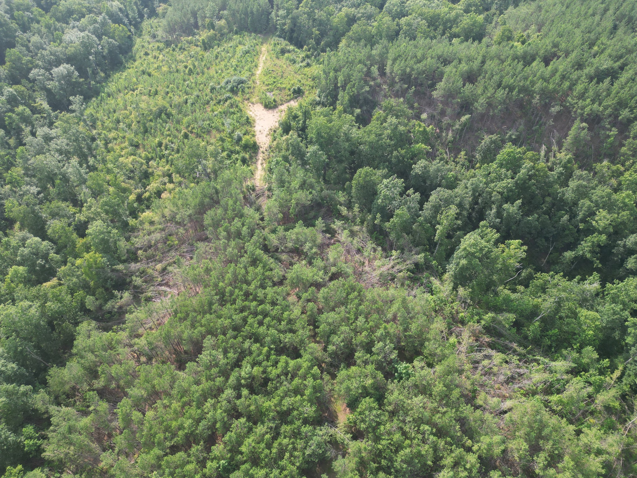0 Toll Hollow Road Waynesboro, TN 38485 - Photo 27 of 43
