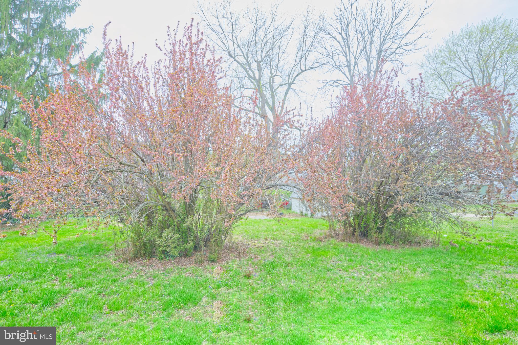 843 Townsend Boulevard Dover, DE 19901 - Photo 6 of 35 a backyard of a house with lots of green space