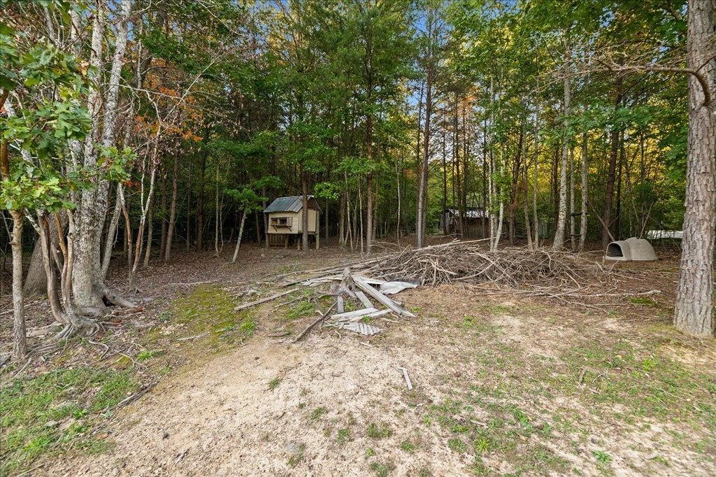 1901 Guinn Narrows Road Decatur, TN 37322 - Photo 17 of 19 Gallery Image 17