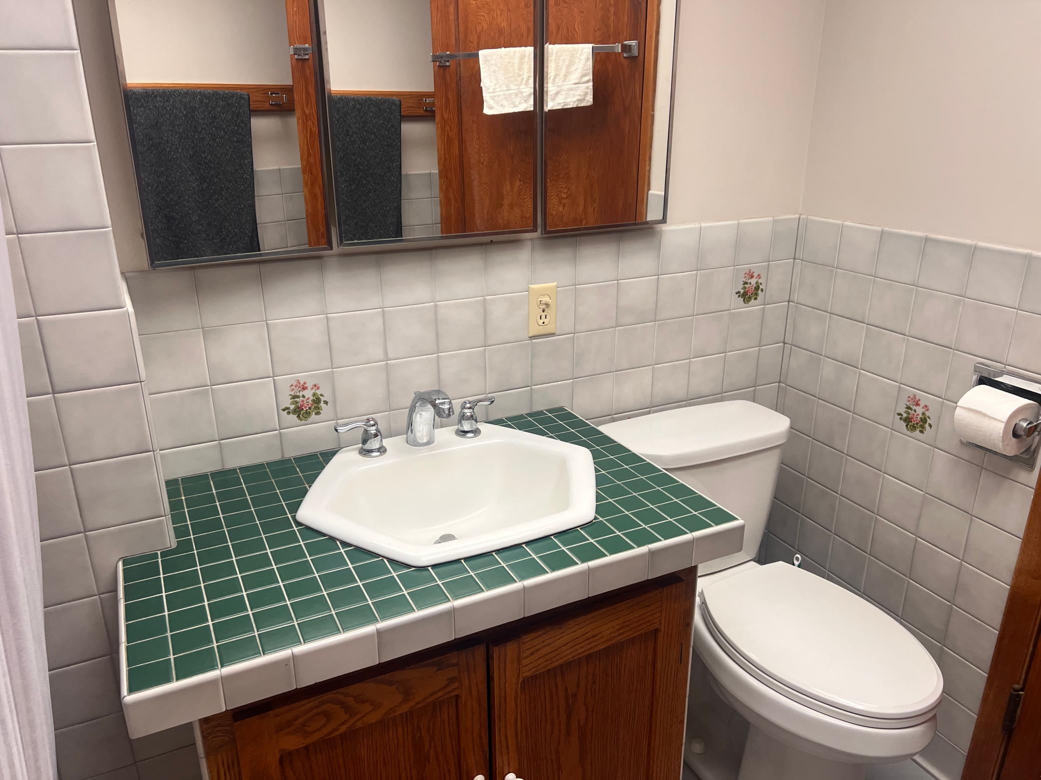 311 South Tyler Street Tyler, MN 56178 - Photo 21 of 31