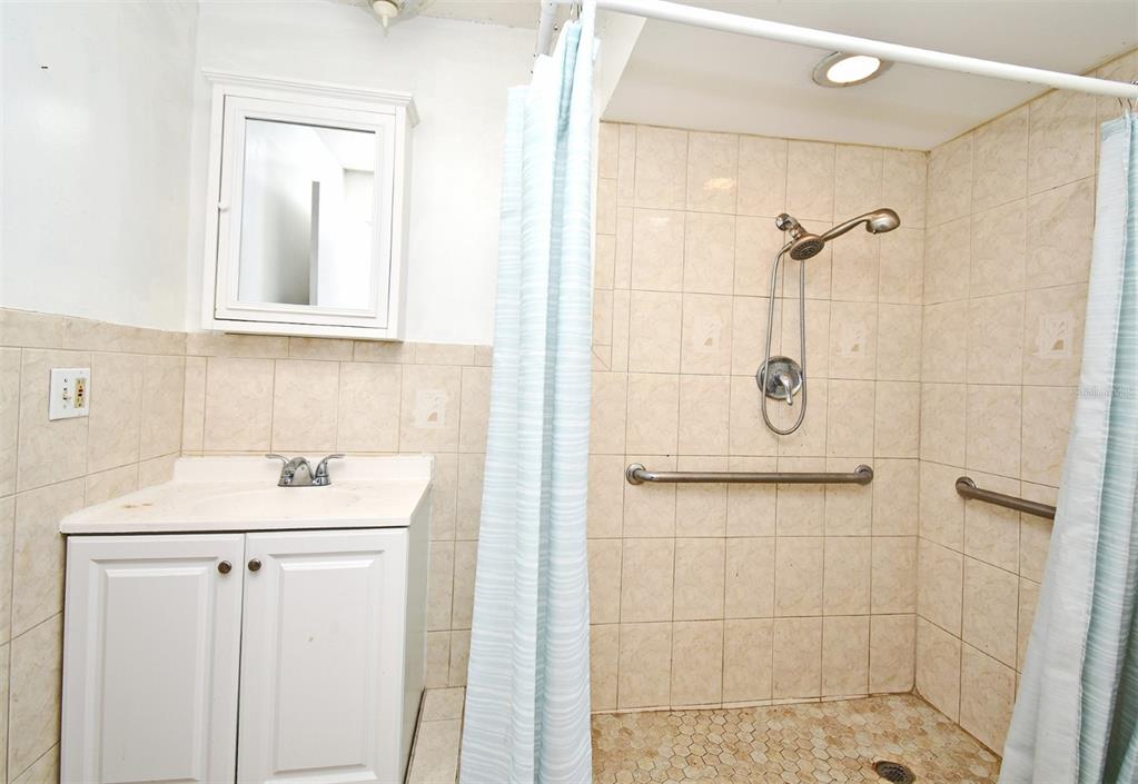 5133 Brenda Drive Orlando, FL 32812 - Photo 41 of 51 a bathroom with a sink a shower and a mirror