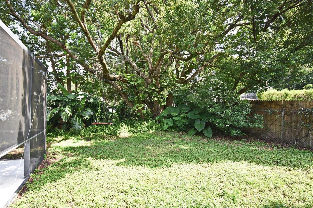 5133 Brenda Drive Orlando, FL 32812 - Photo 48 of 51 a view of yard with green space