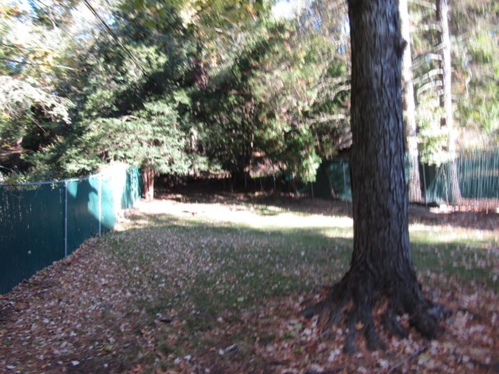 8601 Westwood Road Pittsburgh, PA 15235 - Photo 3 of 28 a view of yard