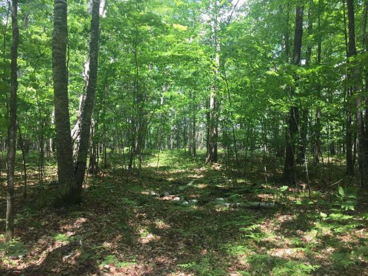 Lot On Harmony Lake Road Eagle River, WI 54521 - Photo 5 of 14 Gallery Image 5