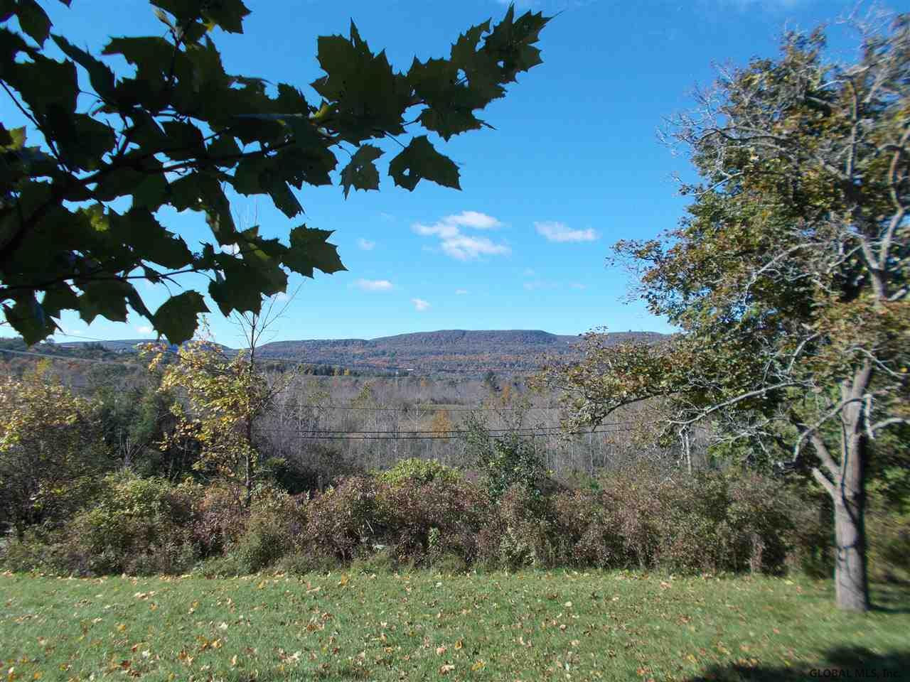 140 Crow Ridge Road New Scotland, NY 12186 - Photo 1 of 10 Photo 1