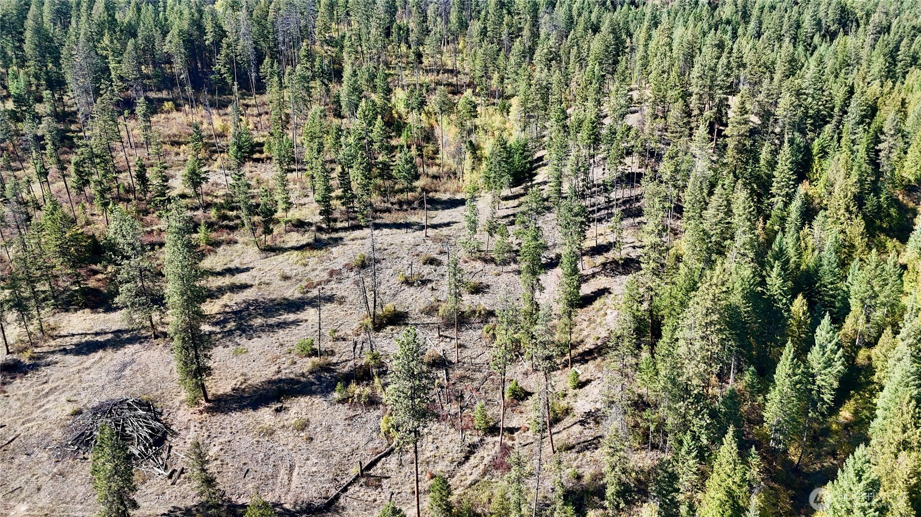 3 Deadman Creek Road Kettle Falls, WA 99141 - Photo 15 of 24 Gallery Image 15