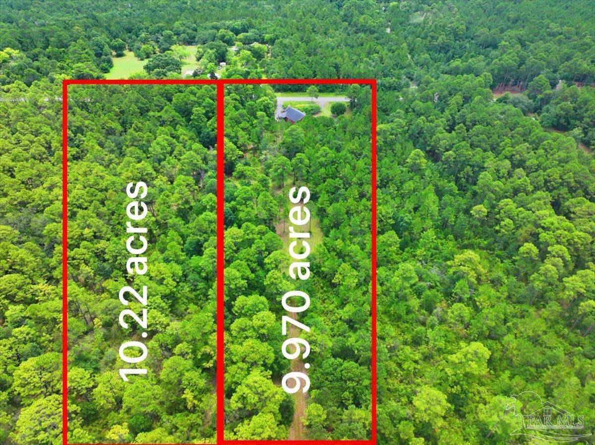 2099 Garcon Point Road Milton, FL 32583 - Photo 12 of 65 a view of a flower garden