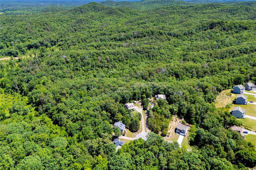 28 Sarah's Hollow Road Rockmart, GA 30153 - Photo 60 of 61