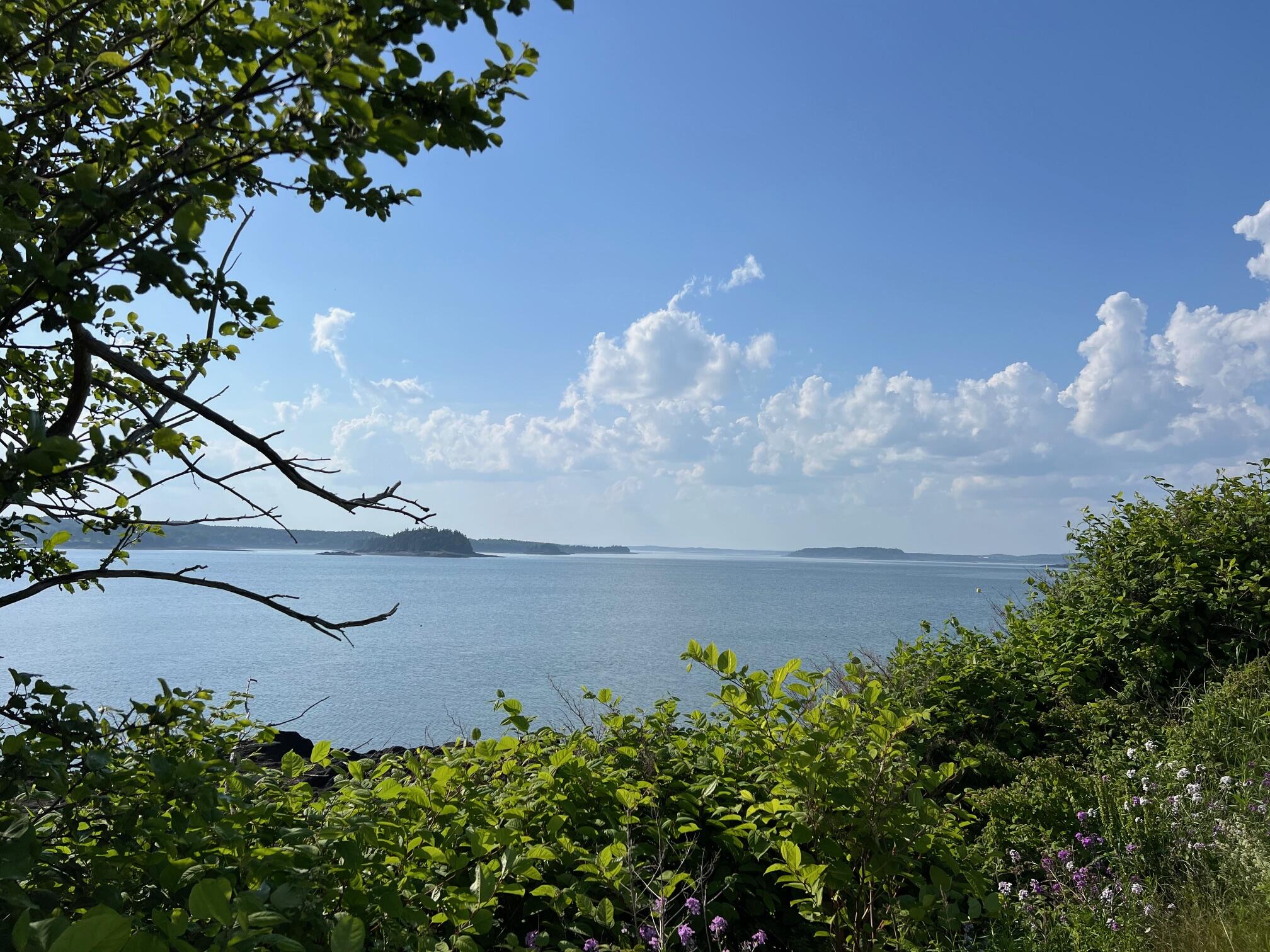 15 Map Street Lubec, ME 04652 - Photo 11 of 15 11