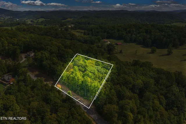 $65,000 | Lot 148 Hickory Pointe Lane, Maynardville, TN 37807