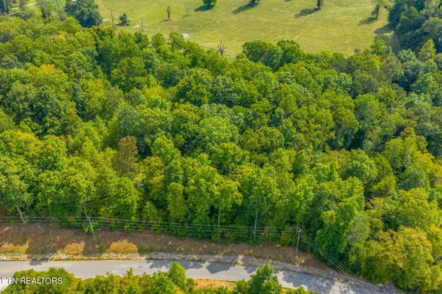 $65,000 | Lot 148 Hickory Pointe Lane, Maynardville, TN 37807