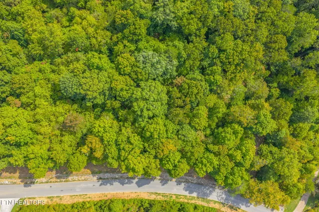 $65,000 | Lot 148 Hickory Pointe Lane, Maynardville, TN 37807