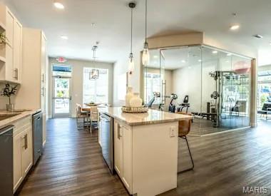 226 East Lockwood Avenue, Unit 112 St. Louis, MO 63119 - Photo 5 of 27