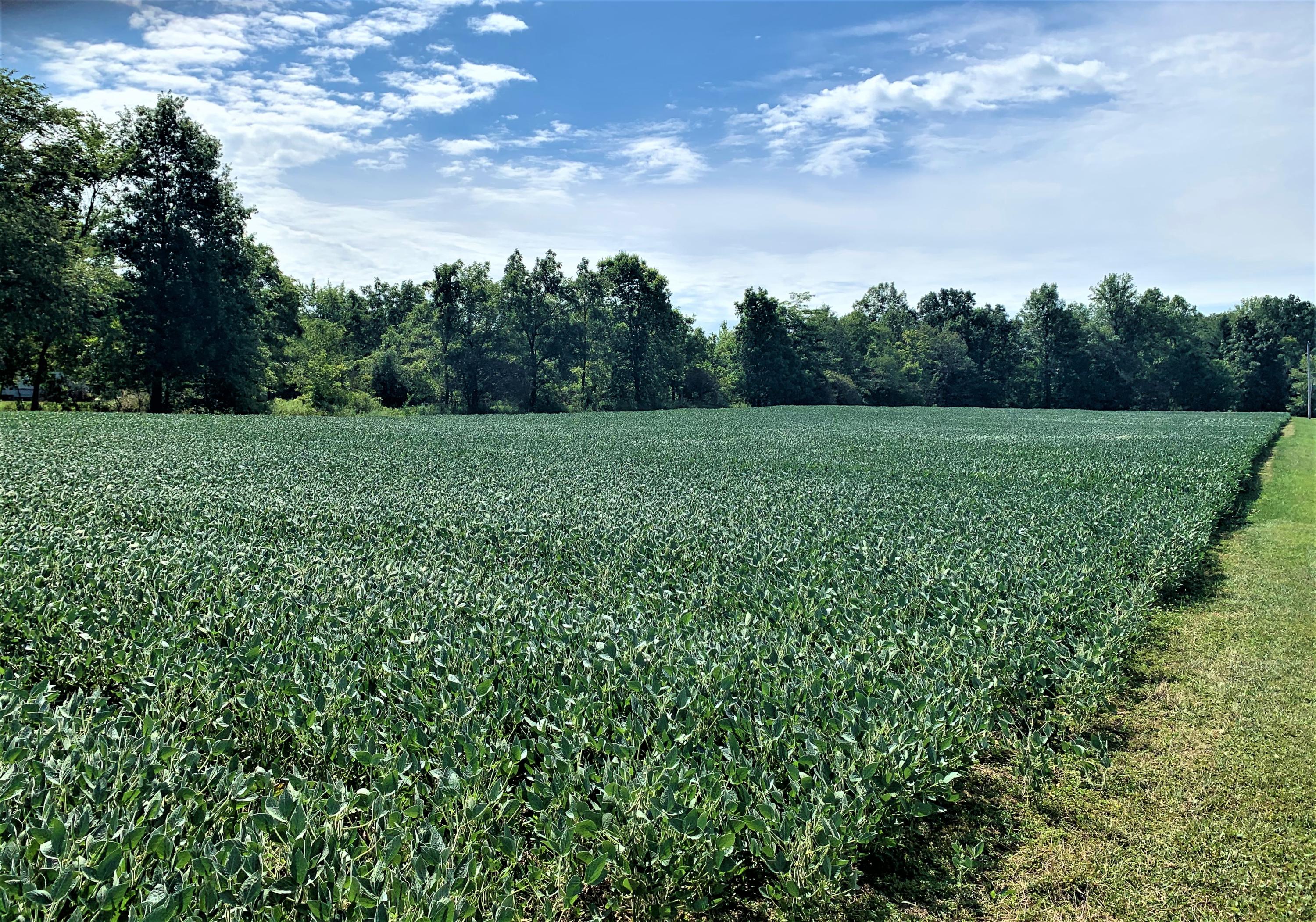 0 West Hume Road Lima, OH 45806 - Photo 2 of 9