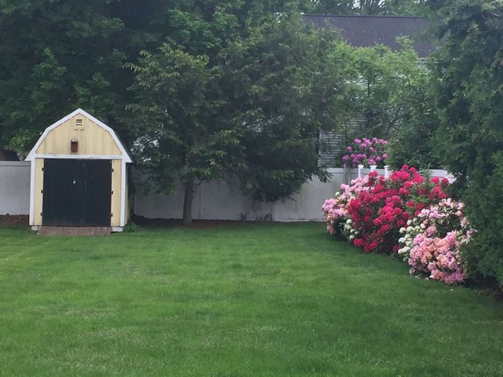 11 Cottonwood Road Wellesley, MA 02482 - Photo 7 of 18