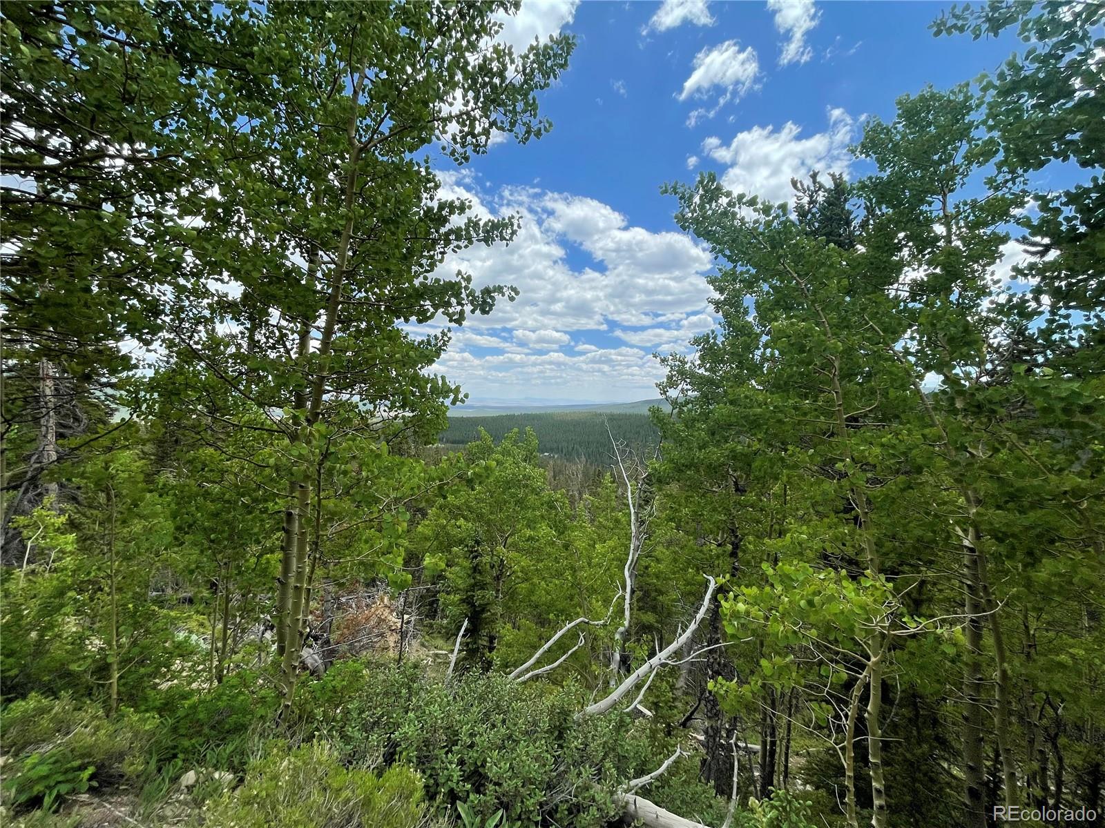 847 County Road 787 Alma, CO 80420 - Photo 11 of 22