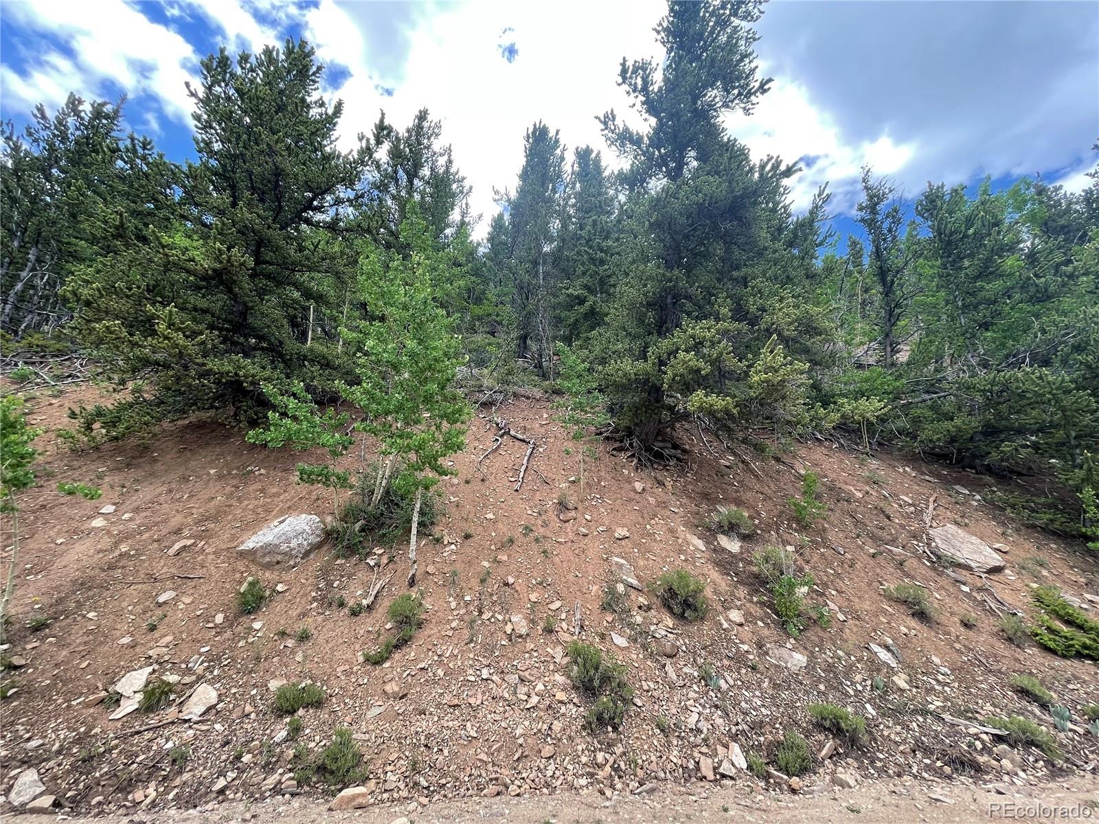 847 County Road 787 Alma, CO 80420 - Photo 13 of 22