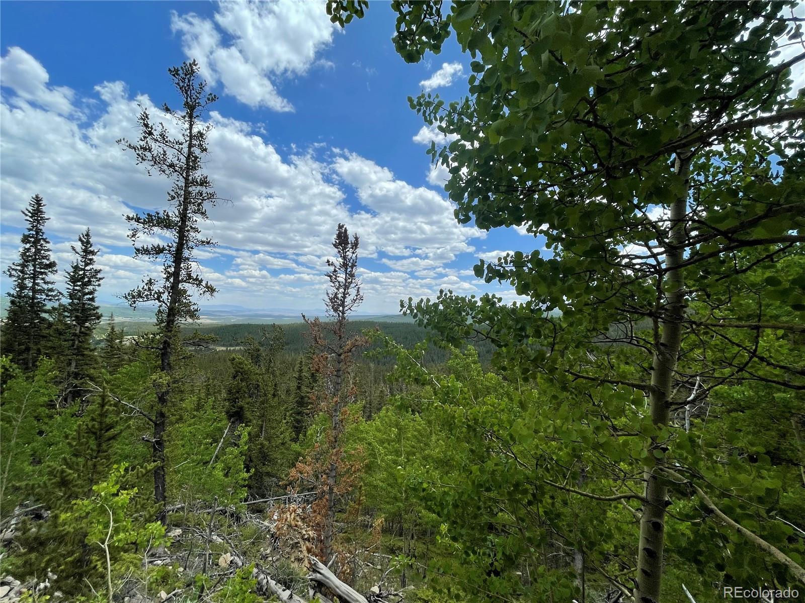 847 County Road 787 Alma, CO 80420 - Photo 15 of 22