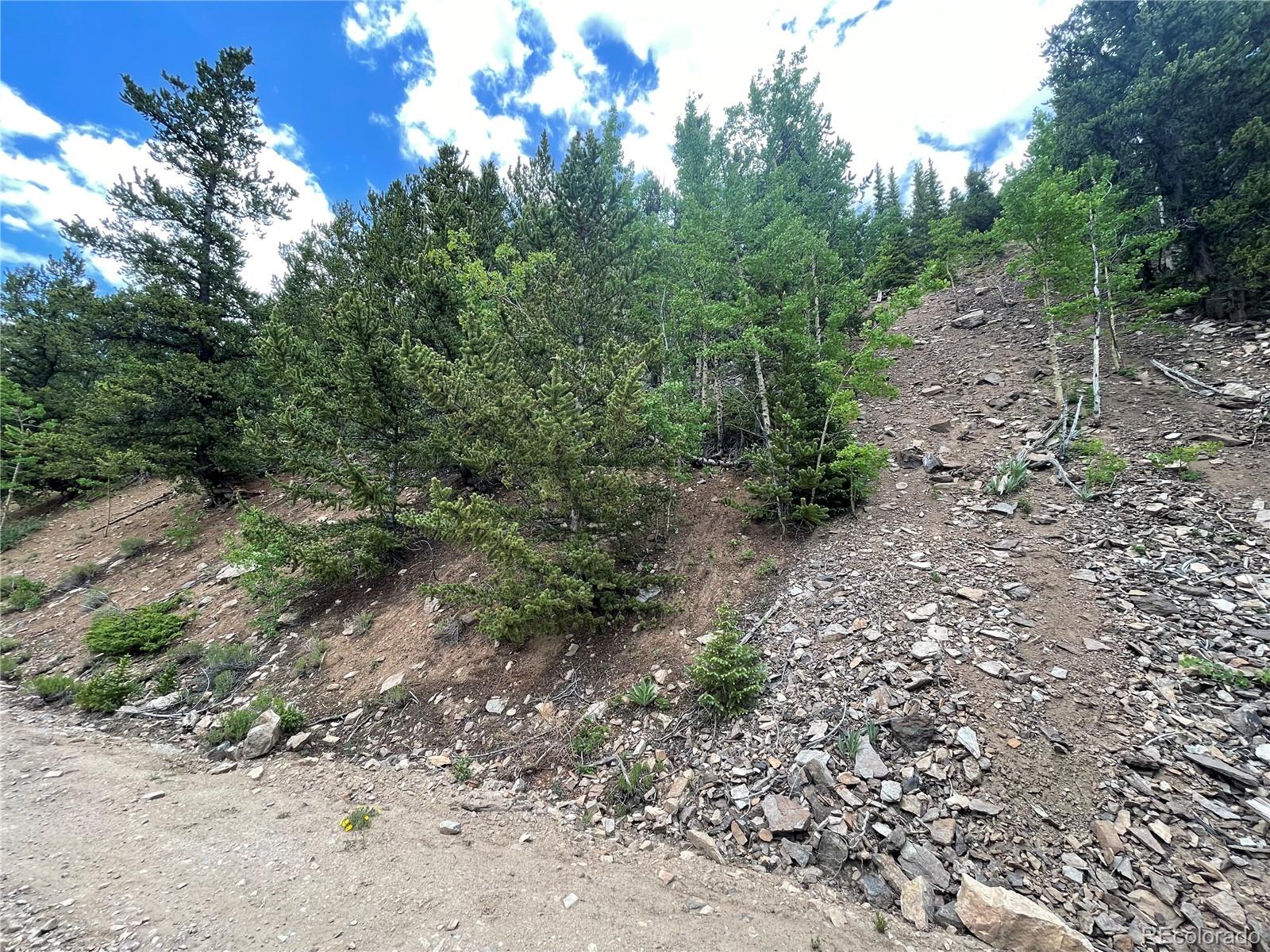 847 County Road 787 Alma, CO 80420 - Photo 16 of 22