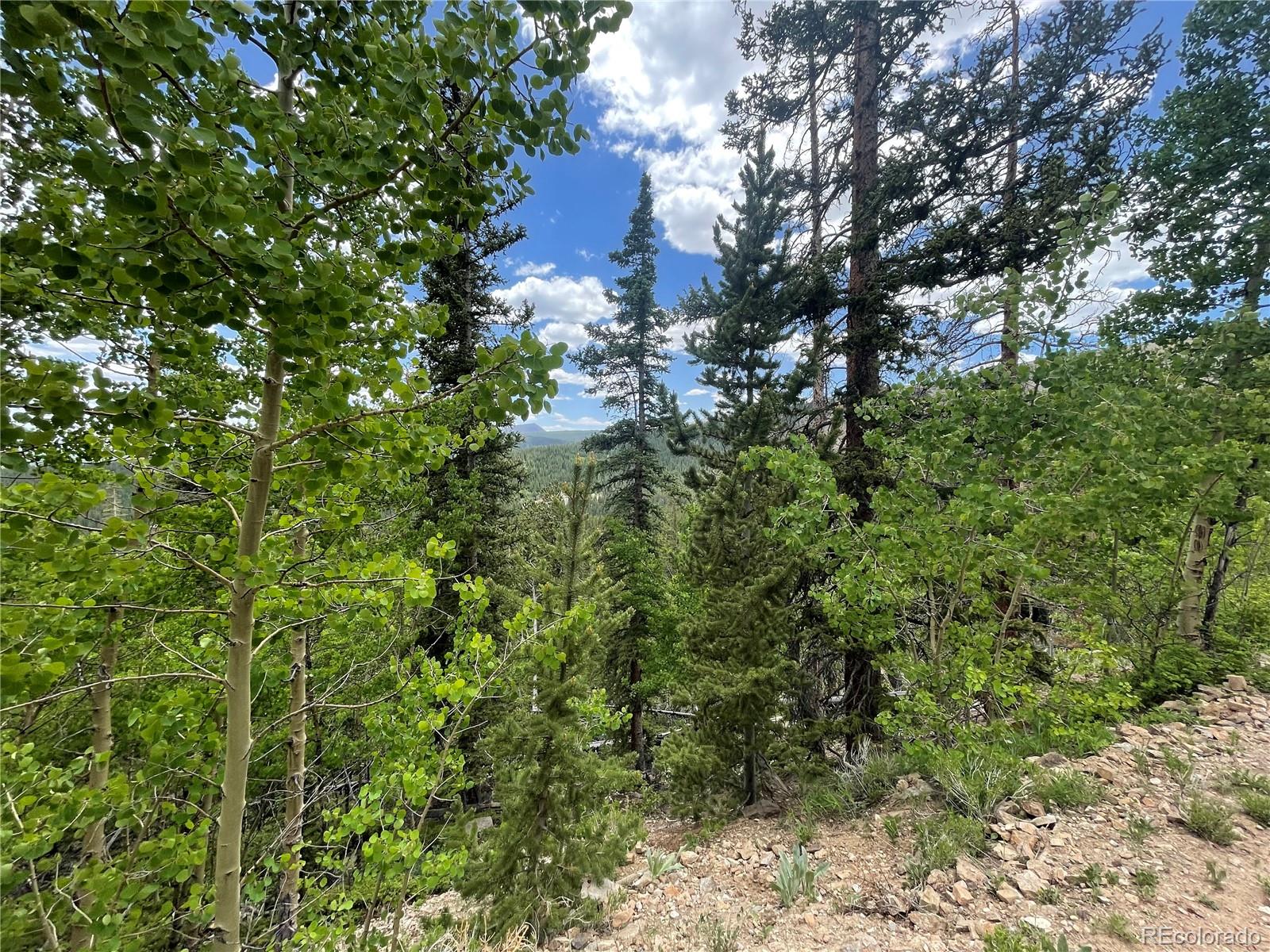 847 County Road 787 Alma, CO 80420 - Photo 17 of 22