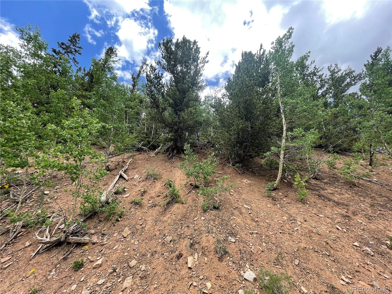 847 County Road 787 Alma, CO 80420 - Photo 19 of 22