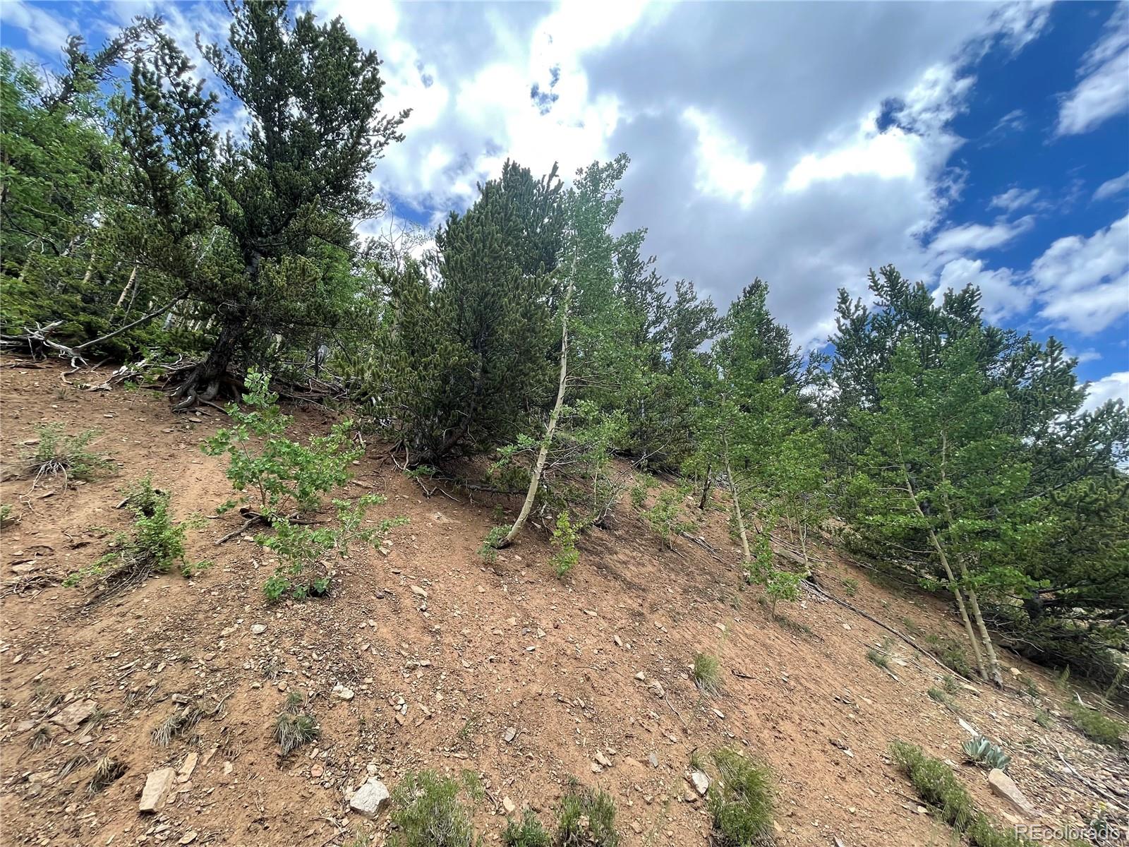 847 County Road 787 Alma, CO 80420 - Photo 20 of 22