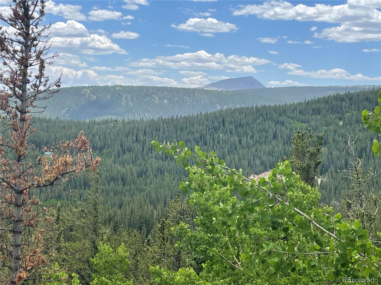 847 County Road 787 Alma, CO 80420 - Photo 2 of 22