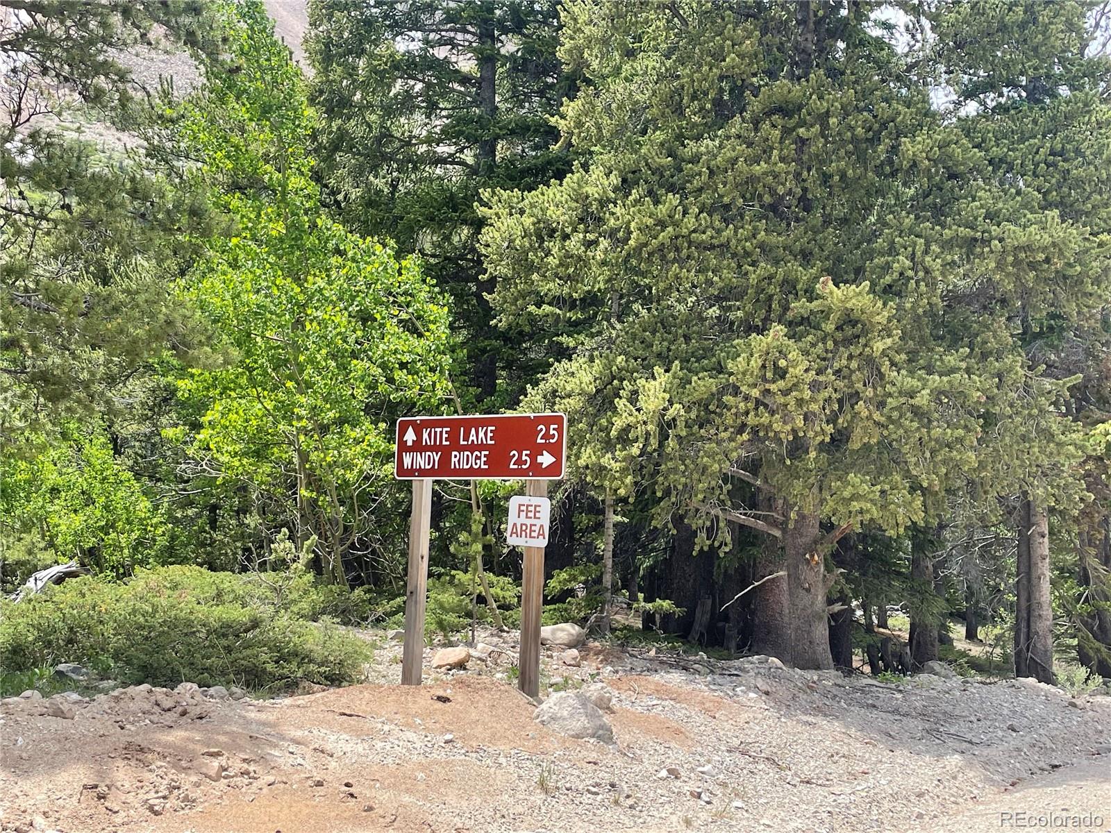 847 County Road 787 Alma, CO 80420 - Photo 21 of 22