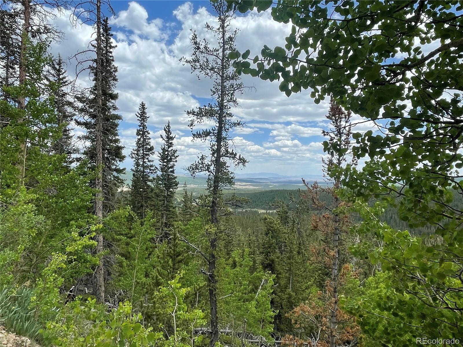 847 County Road 787 Alma, CO 80420 - Photo 4 of 22