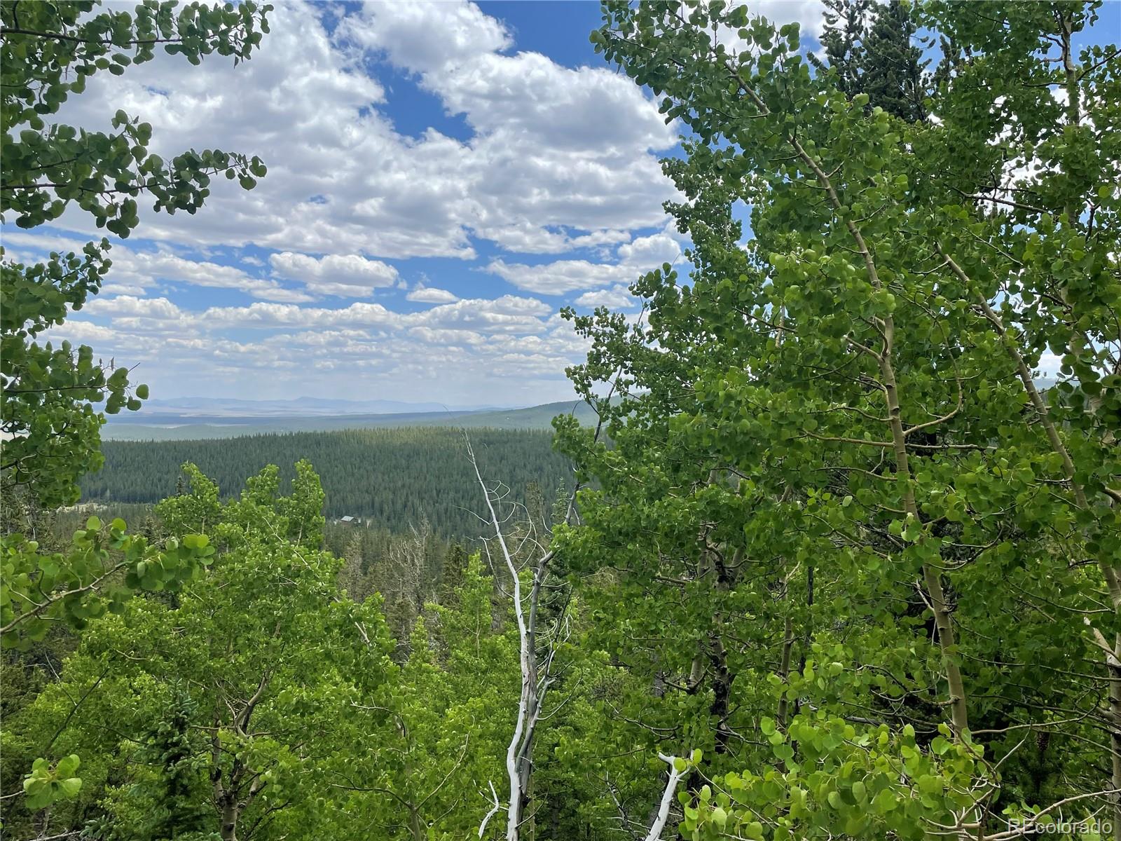 847 County Road 787 Alma, CO 80420 - Photo 5 of 22