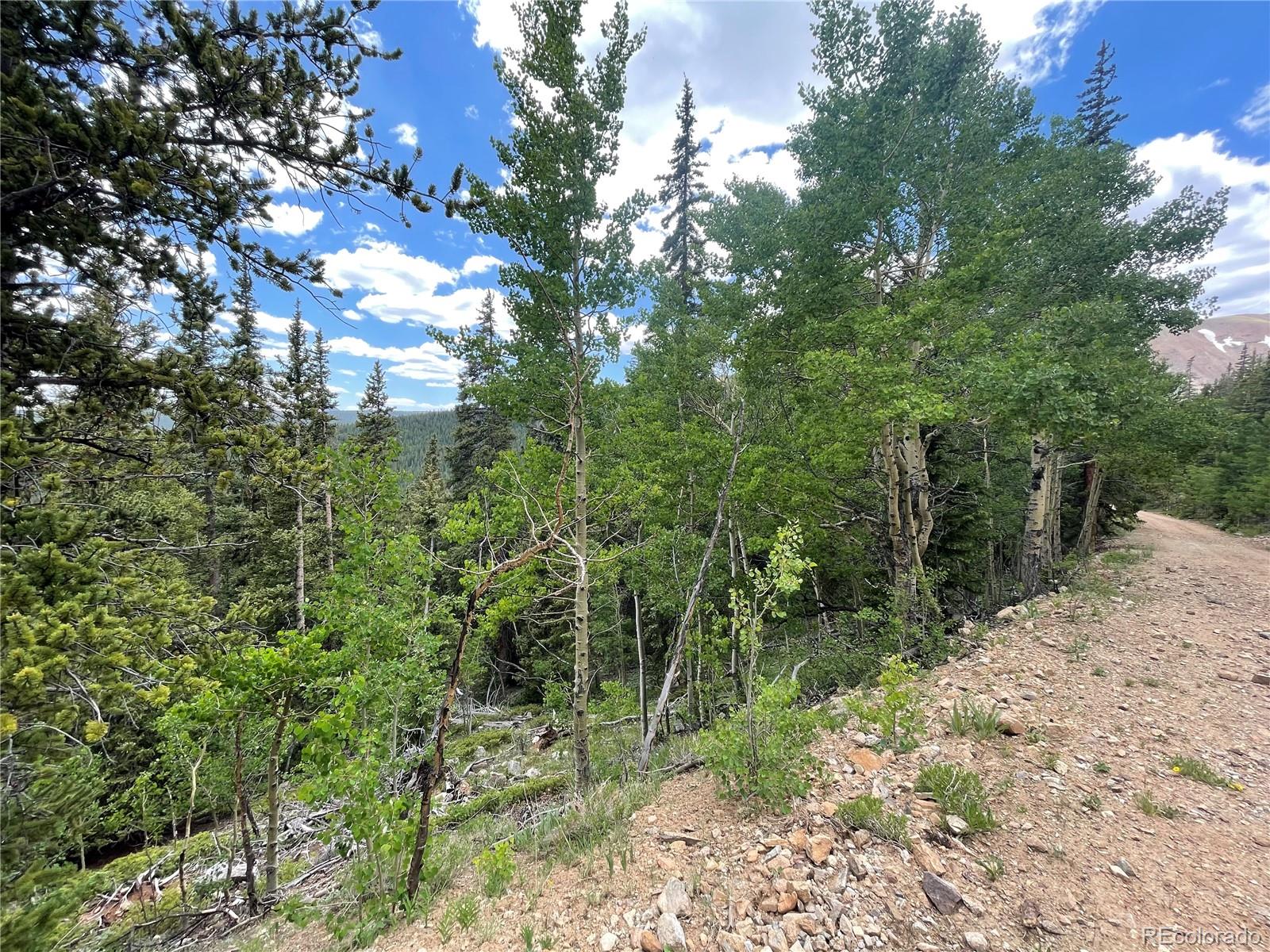 847 County Road 787 Alma, CO 80420 - Photo 6 of 22