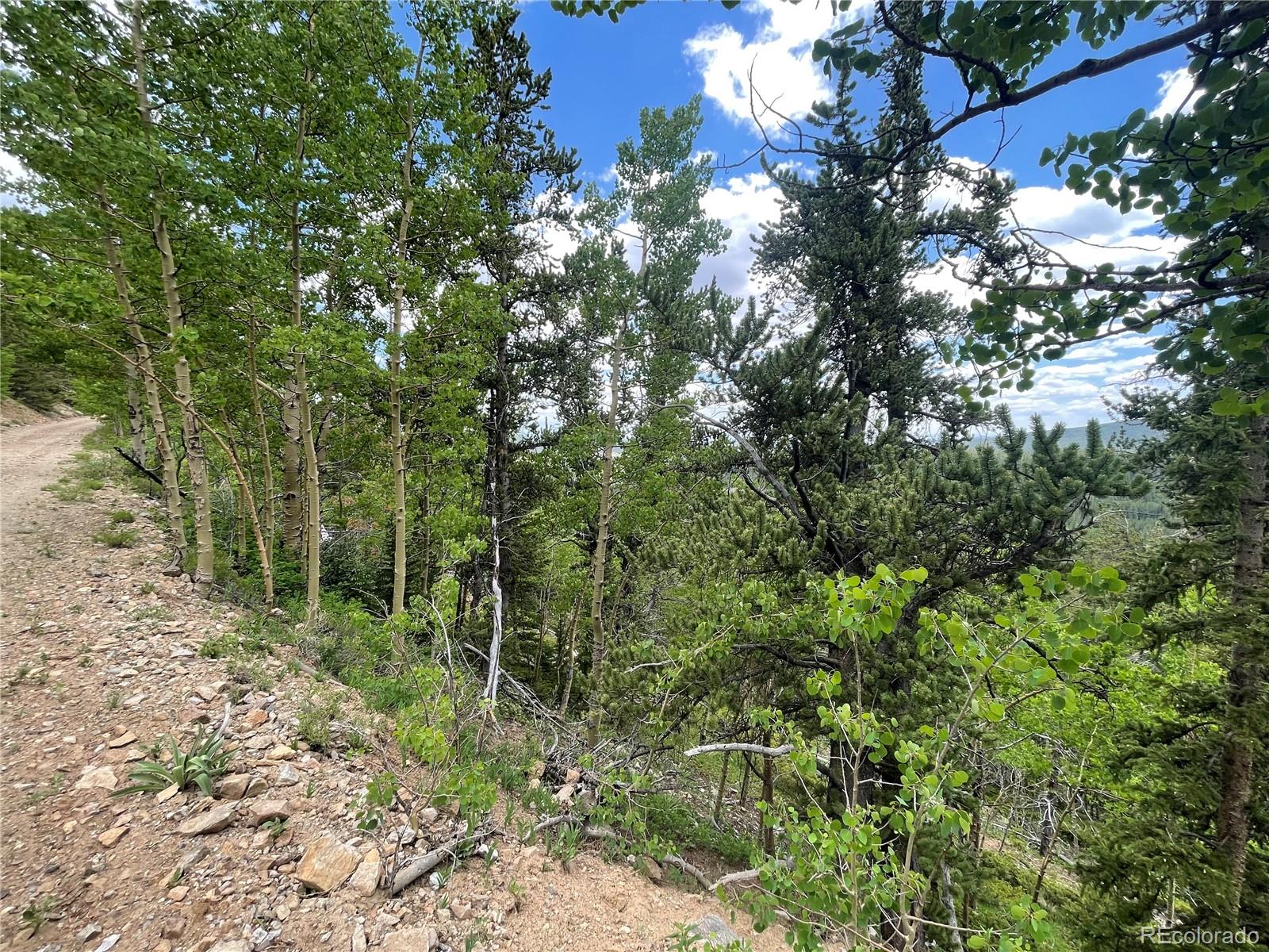 847 County Road 787 Alma, CO 80420 - Photo 7 of 22