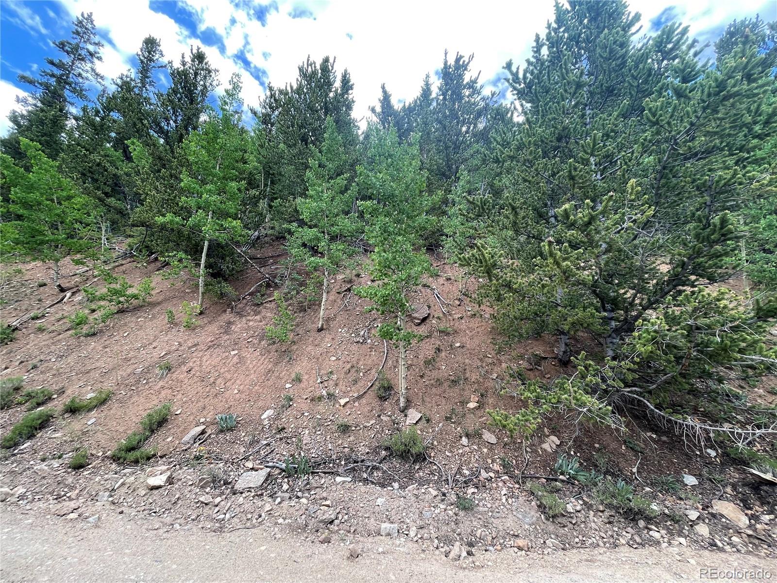 847 County Road 787 Alma, CO 80420 - Photo 9 of 22