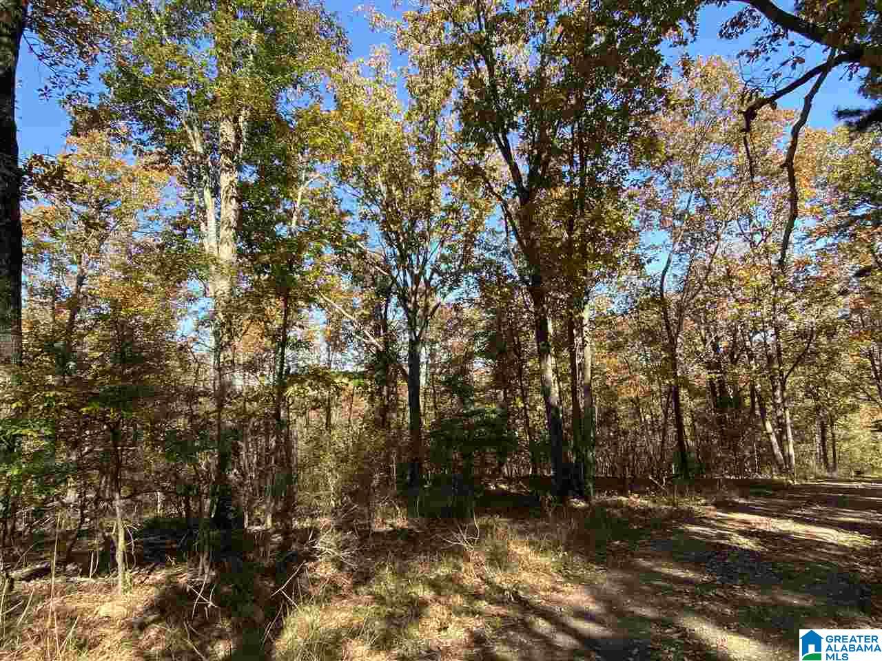 3752 County Road 331 Chelsea, AL 35043 - Photo 3 of 10