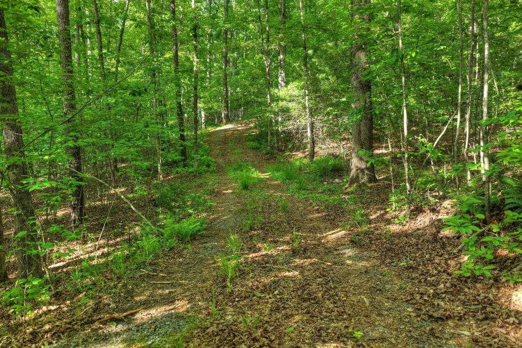 8.52 Ac Mcnelley Road Morganton, GA 30560 - Photo 33 of 47