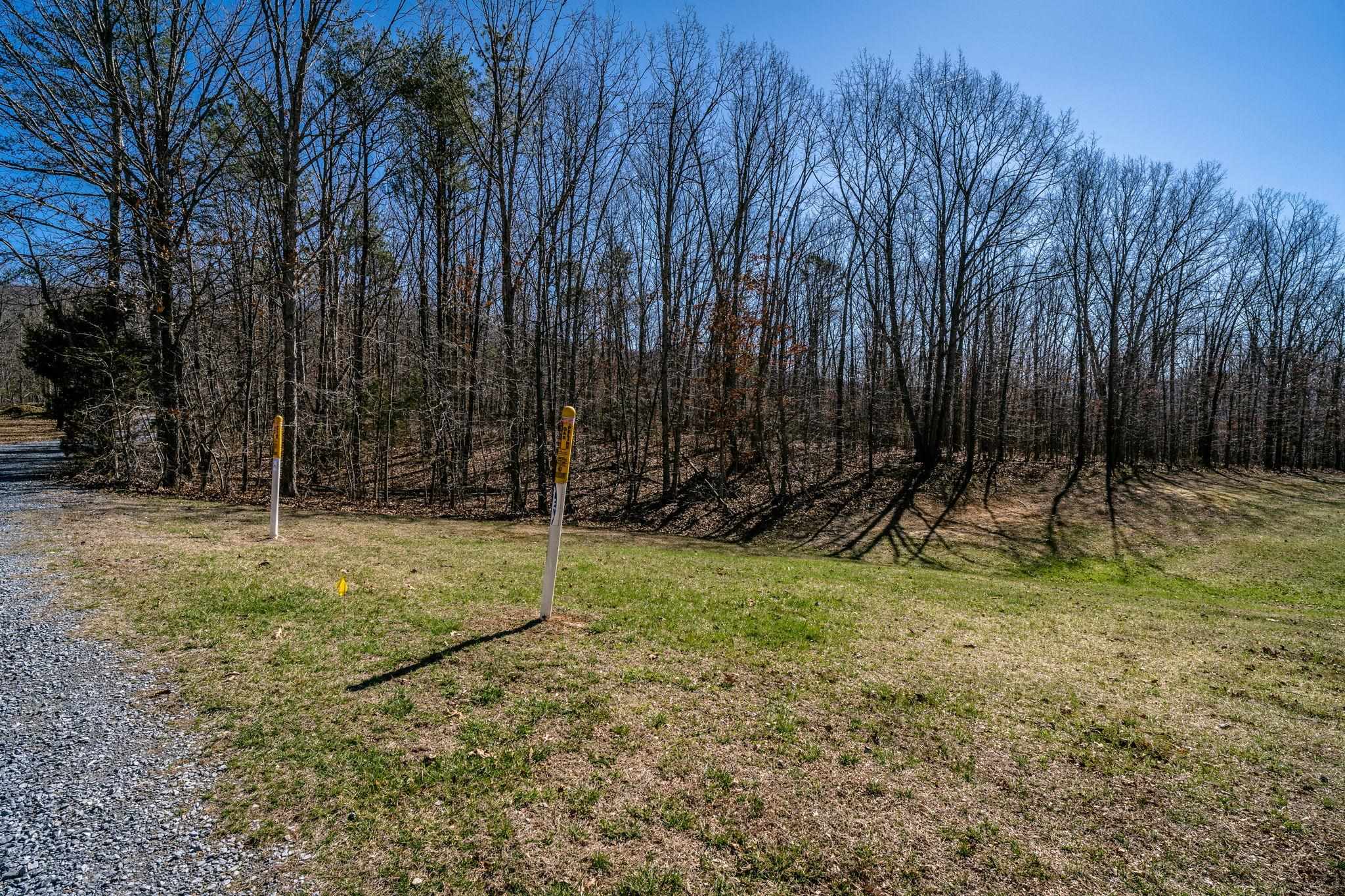 Tbd Kemble Spring Lane Elkton, VA 22827 - Photo 15 of 29 a view of outdoor space with trees