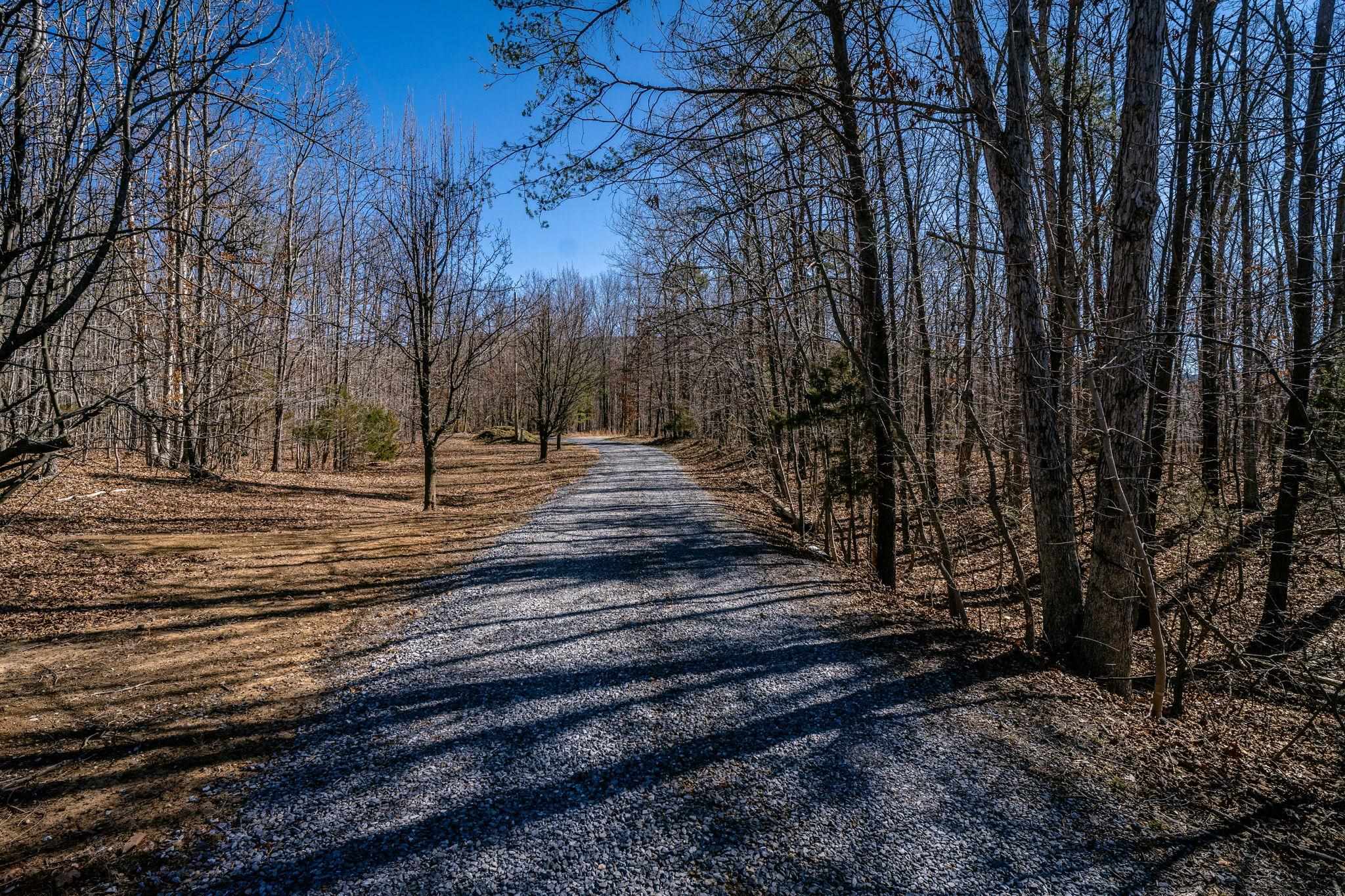 Tbd Kemble Spring Lane Elkton, VA 22827 - Photo 17 of 29 a view of yard with trees