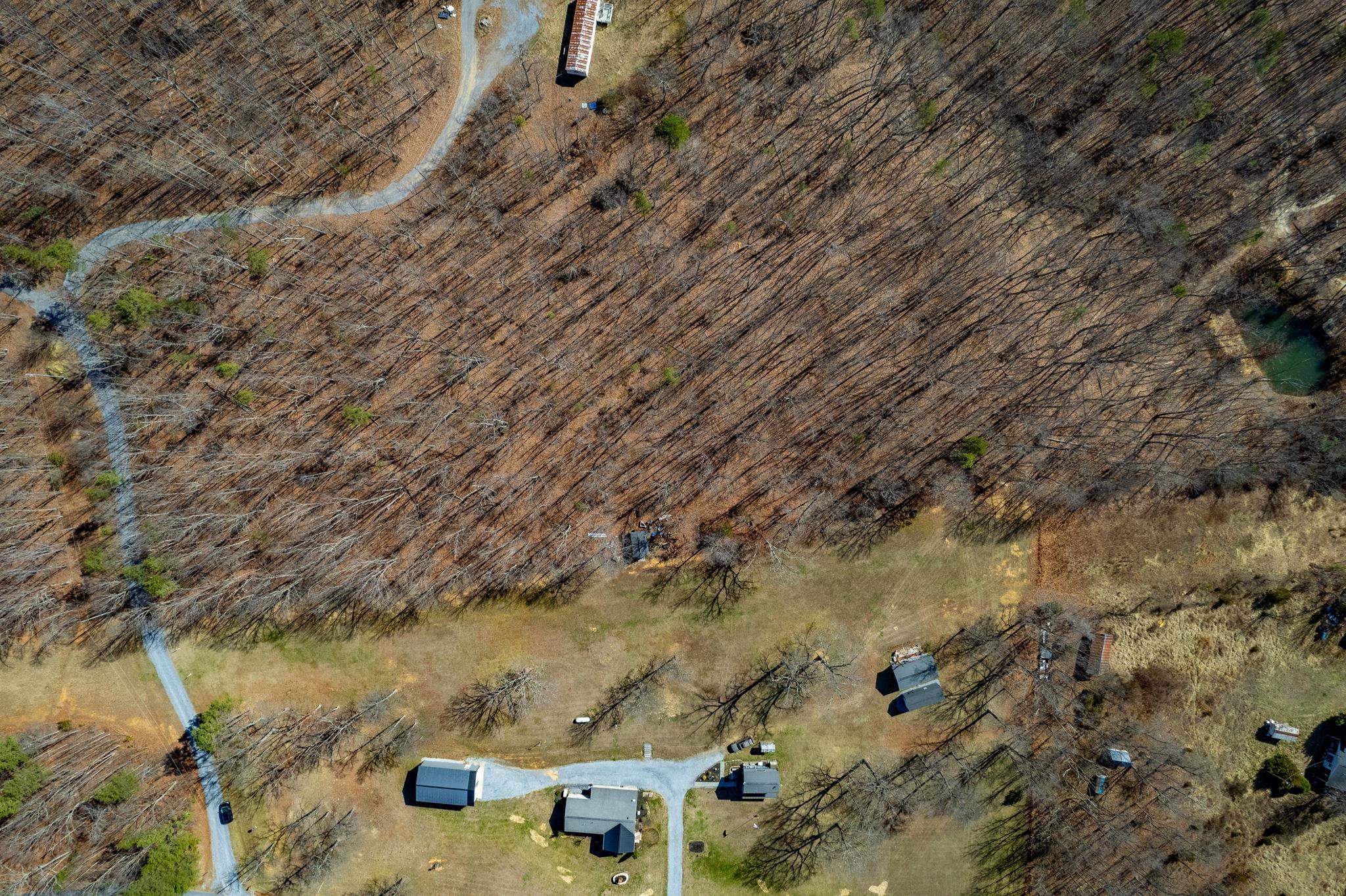 Tbd Kemble Spring Lane Elkton, VA 22827 - Photo 2 of 29 a view of residential houses with wooden fence