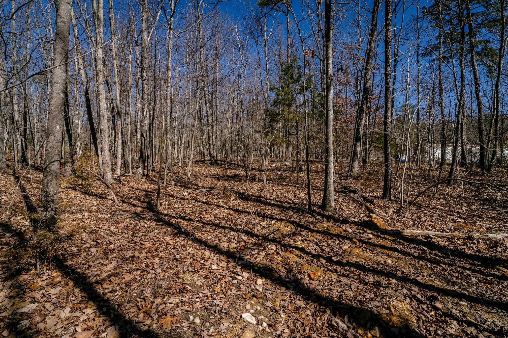 Tbd Kemble Spring Lane Elkton, VA 22827 - Photo 21 of 29 a view of a backyard with trees