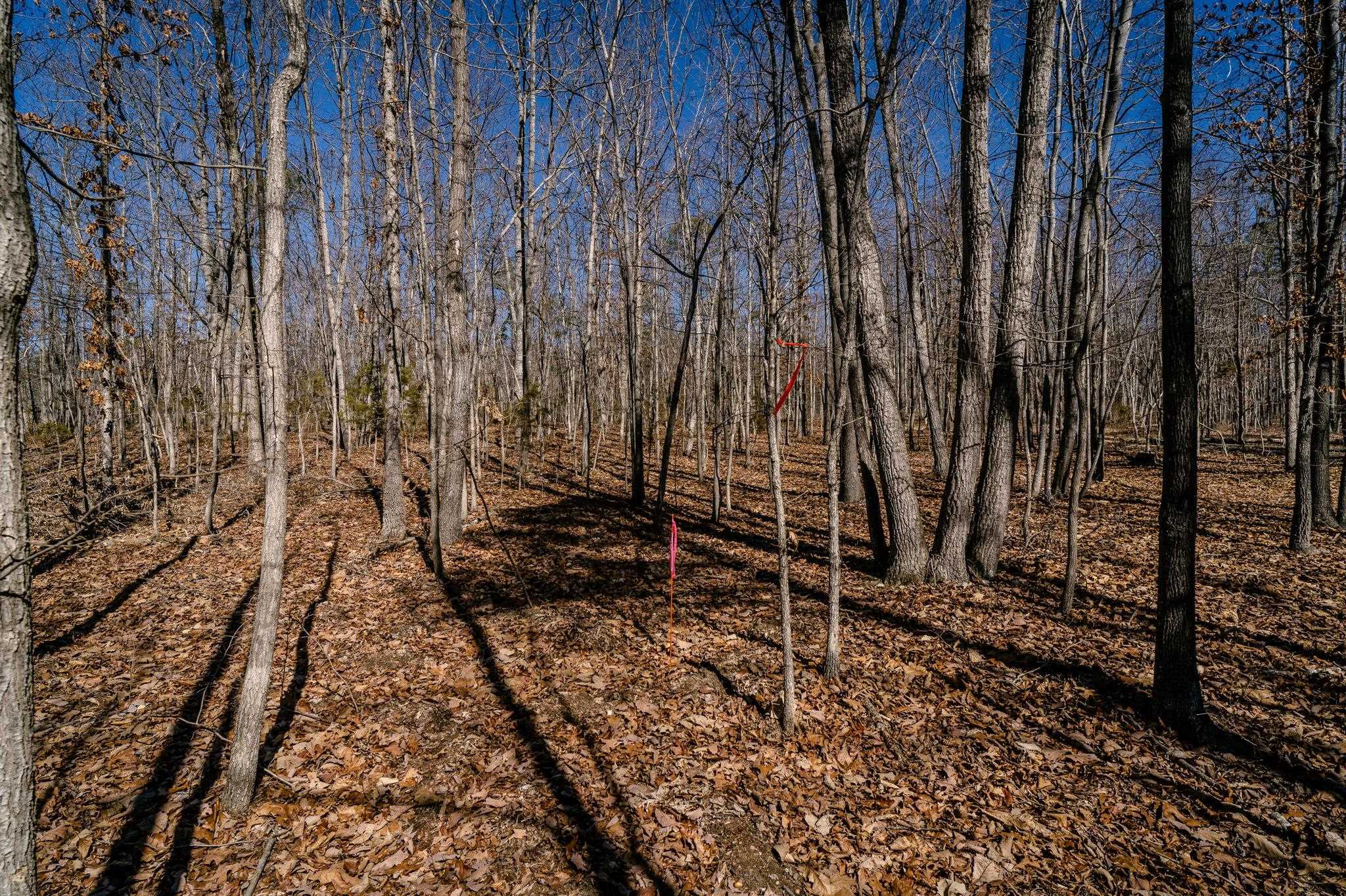 Tbd Kemble Spring Lane Elkton, VA 22827 - Photo 23 of 29 a view of sitting area with chairs