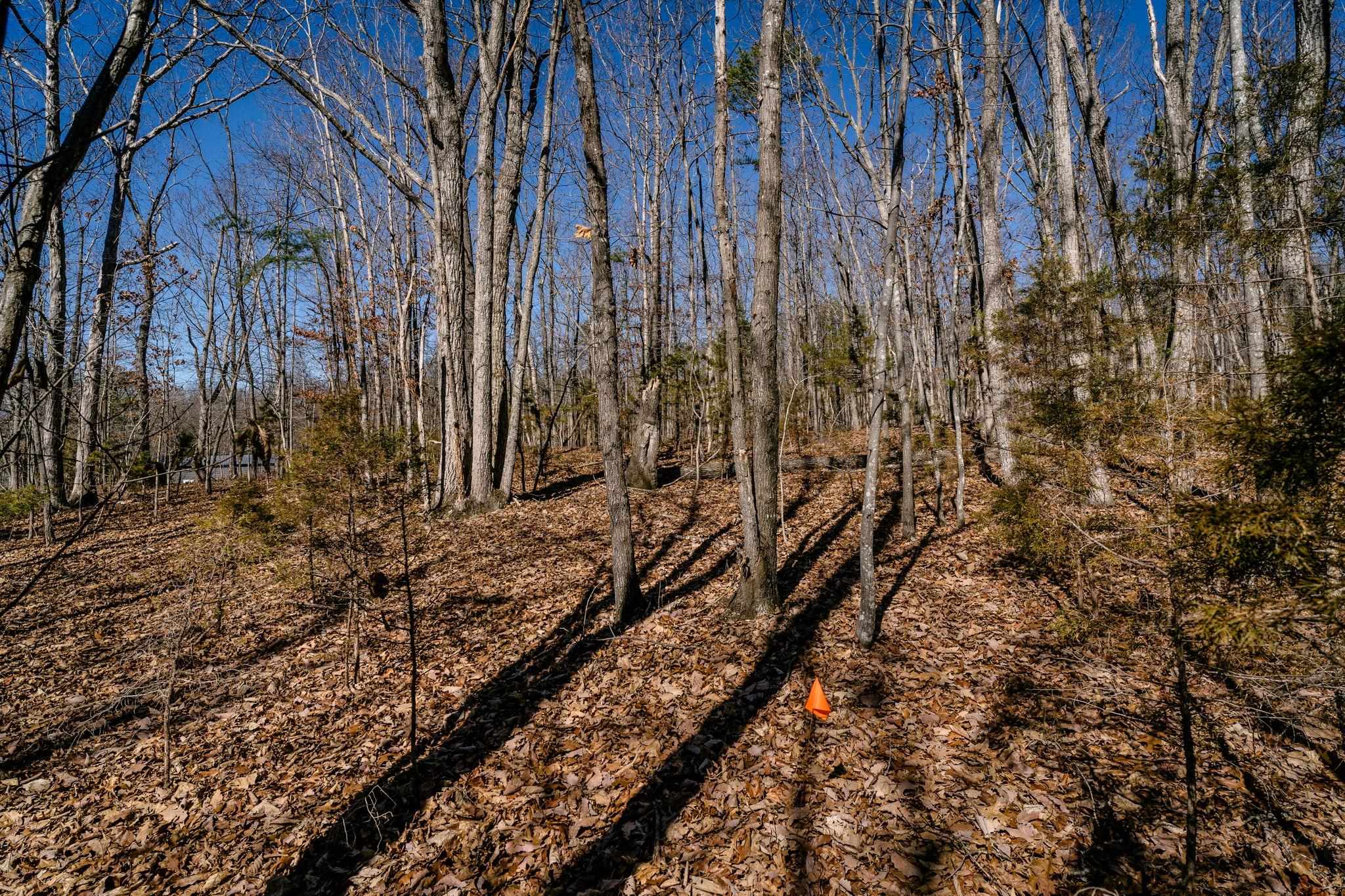 Tbd Kemble Spring Lane Elkton, VA 22827 - Photo 25 of 29 a view of a backyard of the house
