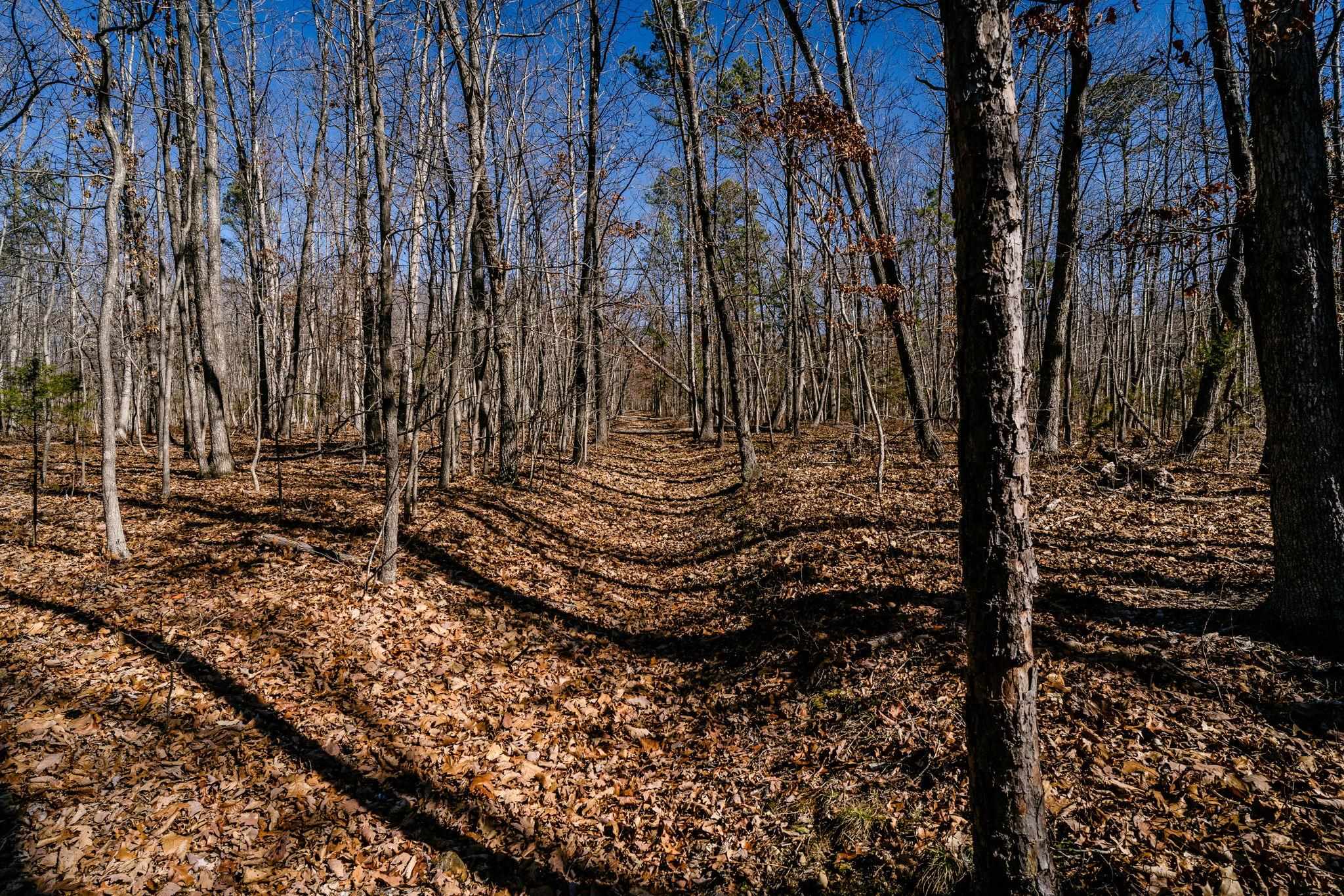 Tbd Kemble Spring Lane Elkton, VA 22827 - Photo 26 of 29 a view of outdoor space