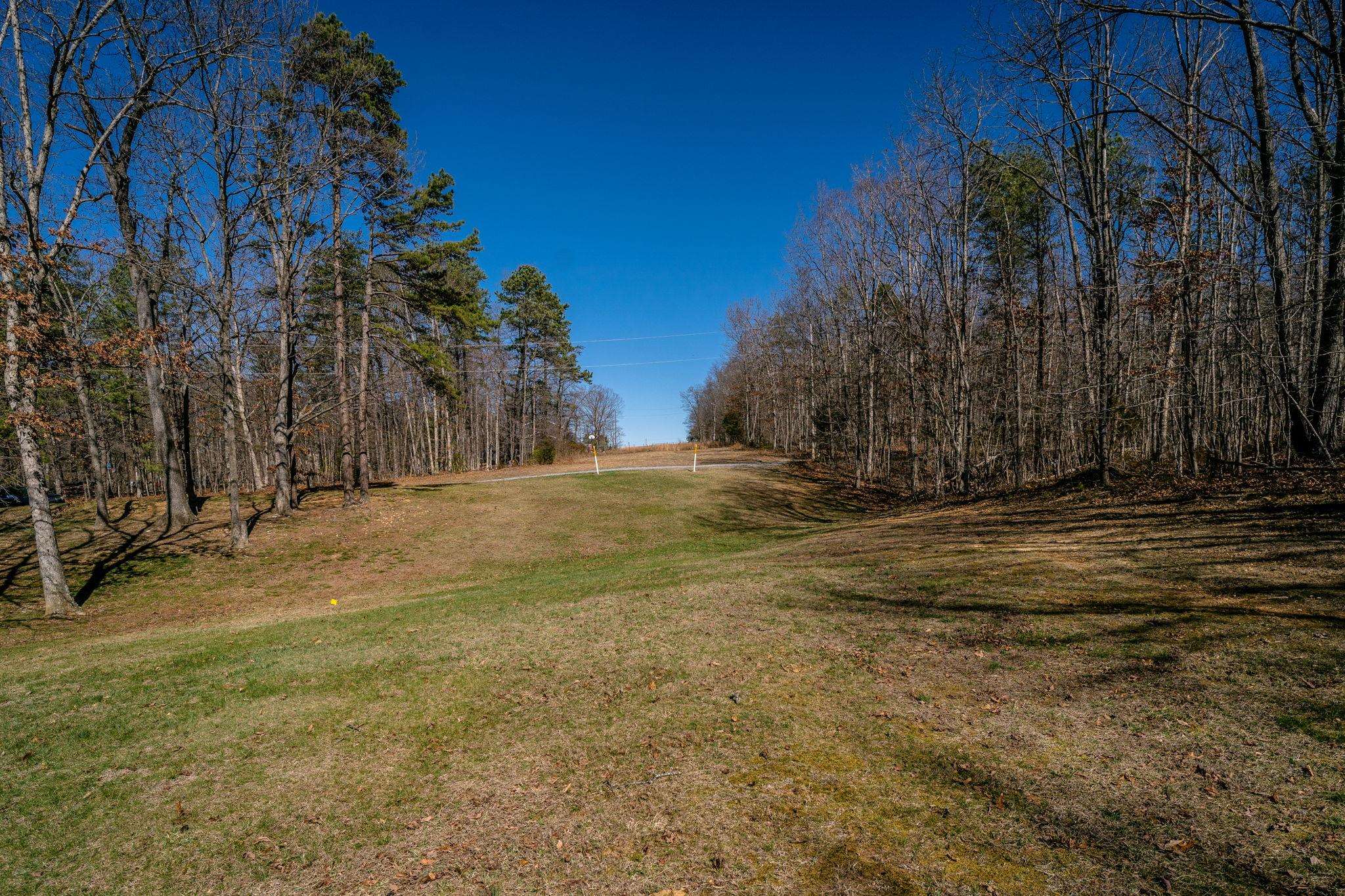 Tbd Kemble Spring Lane Elkton, VA 22827 - Photo 27 of 29 a view of dirt field with trees in the background