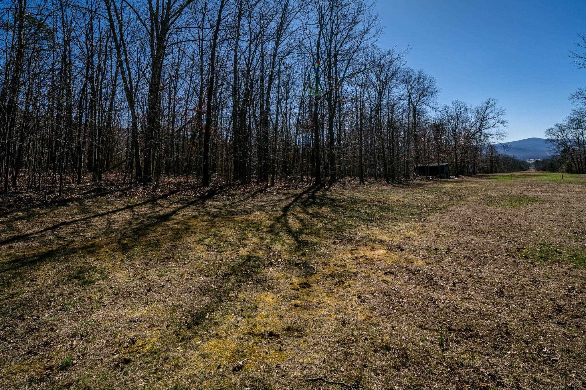 Tbd Kemble Spring Lane Elkton, VA 22827 - Photo 28 of 29 a view of backyard with green space