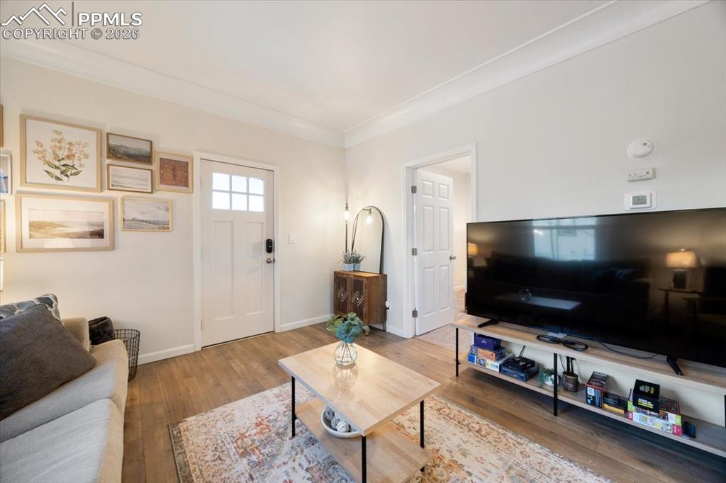 421 South Prospect Street Colorado Springs, CO 80903 - Photo 23 of 48 a living room with furniture and a flat screen tv