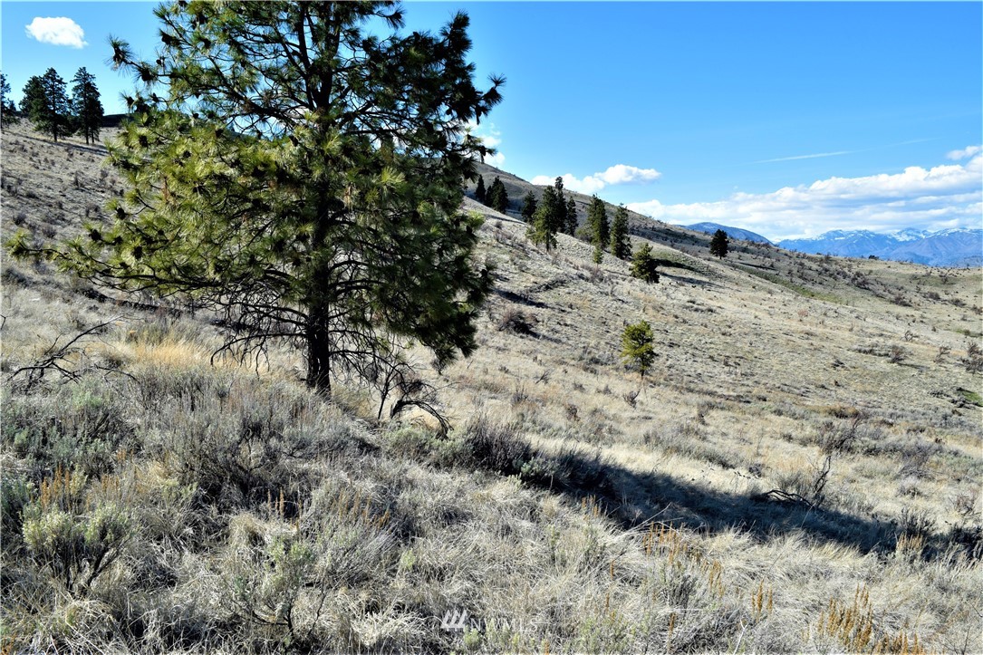 2 South Lakeshore Road Chelan, WA 98816 - Photo 10 of 25 Gallery Image 10