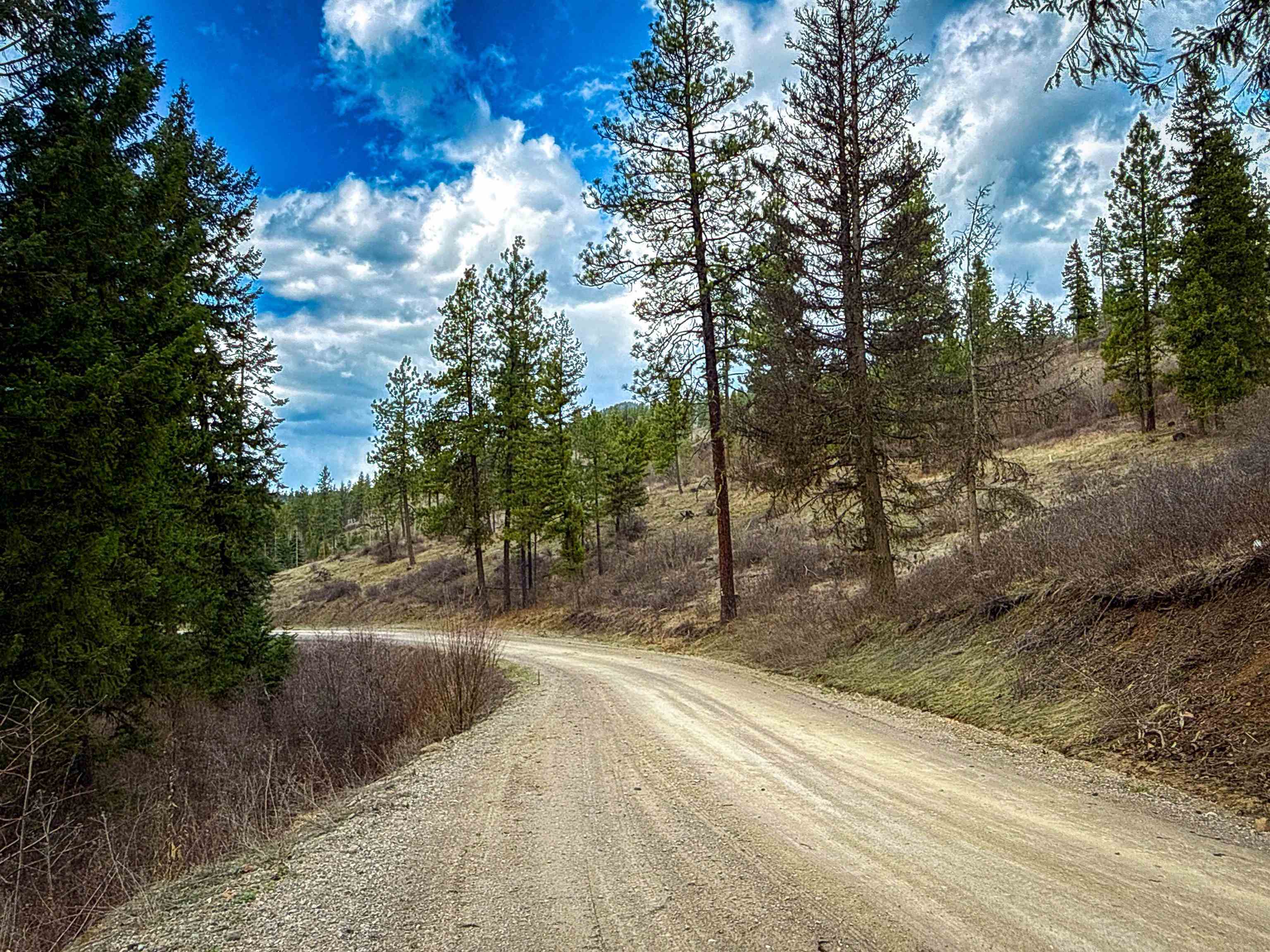 Nka Best Chance Road Usk, WA 99180 - Photo 14 of 50