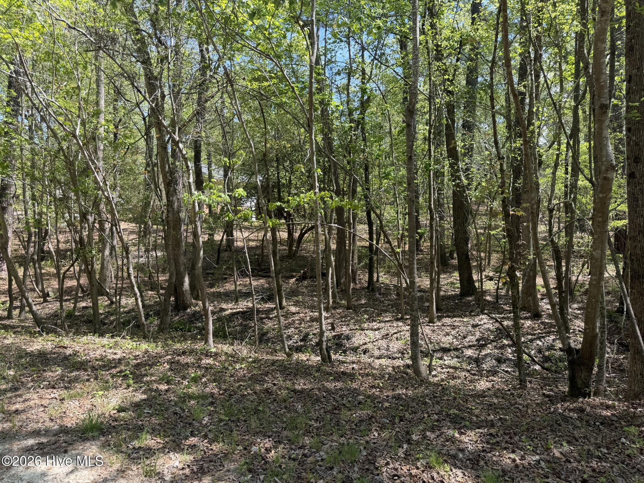 1014 R Cedar Lane West End, NC 27376 - Photo 11 of 18 IMG_0833